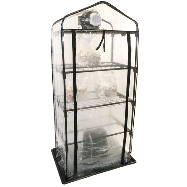 mushroom grow tent setup ShroomRoom: Mushroom Grow Tent – Grow It Depot