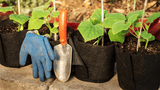 Smart Pot Transplanter