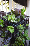 Smart Pot Milk Crate Liner