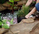 Smart Pot Pond Pot