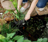 Smart Pot Pond Pot