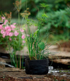 Smart Pot Pond Pot