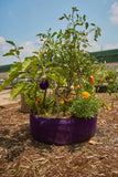 Smart Pot Round Raised Bed