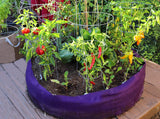 Smart Pot Round Raised Bed