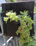 Smart Pot Wall Flower Saddle Planter