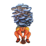 Smushrooom - Blue Oyster Mushroom Grow Kit - 6.5 LBS