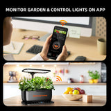 Spider Farmer Hydroponics Growing System