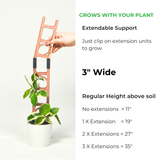 Stella - Modular ladder support