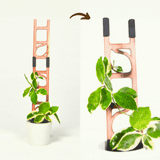 Stella - Modular ladder support