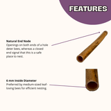 Natural Reeds for Leafcutter Bees, 6mm