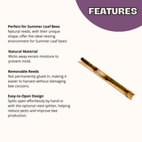 Natural Reeds for Leafcutter Bees, 6mm