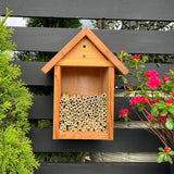 Spring Natural Reeds for Mason Bees - 8mm