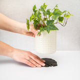 Kostr™ - Double sided leaf-shaped plant pot coaster - Cork + Pineapple leather