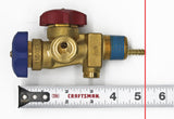 Flame King Dual Access Vapor/Liquid Valve + Dip Tube for 123LB Refrigerant Tank