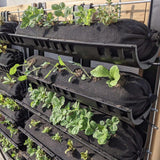Bootstrap Farmer Varden™ Trays