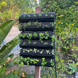 Varden™ Trays