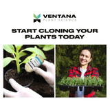 Ventana Plant Science Cloning Gel