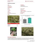 Ventana Plant Science - FlaVUH 4X Concentrate (4-0-4)