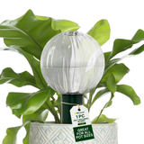Glass Globe with Blumat Bottle Adapter