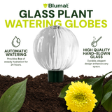 Glass Globe with Blumat Bottle Adapter