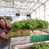 Bootstrap Farmer Deep Water Greens Raft