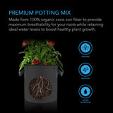 AC Infinity COCO COIR Instant Potting Mix 2 LB.