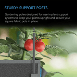 AC Infinity Garden Plant Stakes, 4 Feet Long, 25-Pack