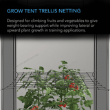 AC Infinity Grow Tent Trellis Netting, Flexible Elastic Cords, 2x4'