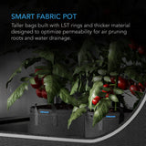 AC Infinity Heavy Duty Fabric Pots 10 Gallon 5-Pack