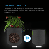 AC Infinity Heavy Duty Fabric Pots,  10 Gallon, 5-Pack