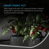 AC Infinity Heavy Duty Fabric Pots,  15 Gallon, 5-Pack