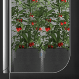 AC Infinity Heavy Duty Fabric Pots,  3 Gallon, 5-Pack