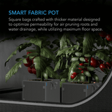 AC Infinity Heavy Duty Square Fabric Pots,  7 Gallon, 5-Pack