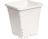 Active Aqua 9" x 9" Square White Pot 10" Tall case of 24