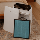 AIR FILTER - Replacement Filter