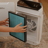 AIR FILTER - Replacement Filter
