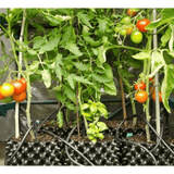 Air-Pot #3 2.4 Gallon Air Pruning Pots, Case of 12