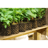 Air-Pot #3 2.4 Gallon Air Pruning Pots, Case of 12
