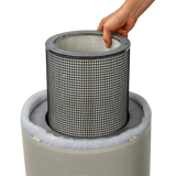 Airpura G-Series Air Purifiers for Odor-Free Carbon for Chemically Sensitive (MCS) - G600 and G700