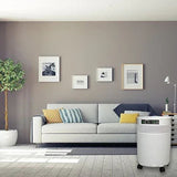 Airpura V-Series Air Purifiers for Asbestos, Ammonia, Nitrogen Oxide and More - V600 and V700