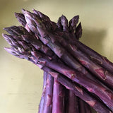 Asparagus Purple Passion