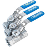 Milwaukee Valve 316SS FNPT Ball Valve