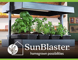 Big Time Hydroponics Exterminator 5 gal
