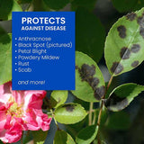 BioAdvanced® 3-in-1 Insect Disease and Mite, Concentrate I (32 oz.)
