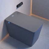 Swiss Madison Concorde One Piece Smart Toilet 1.28 GPF in Matte Gray with Heated Bidet, Air Drying, Night Light, Foot Sensor