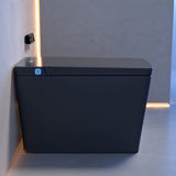 Swiss Madison Concorde One Piece Smart Toilet 1.28 GPF in Matte Black with Heated Bidet, Air Drying, Night Light, Foot Sensor