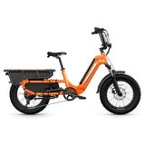 HOVSCO HovCart 20“ Step-Thru Electric Fat Tire Cargo Bike