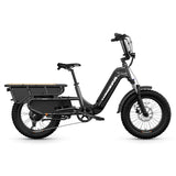 HOVSCO HovCart 20“ Step-Thru Electric Fat Tire Cargo Bike