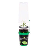 Clone Shipper Plant Packaging Planting & Watering