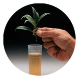 Dip 'N Grow 'N Grow Liquid Rooting Concentrate - 2oz